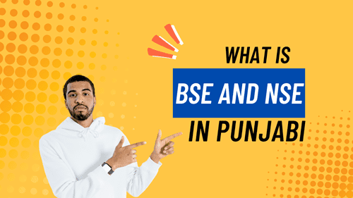 What is BSE and NSE in Punjabi