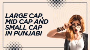 Large Cap, Mid Cap and Small Cap in Punjabi Explained