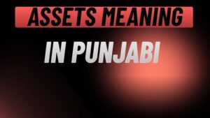 Assets Meaning in Punjabi