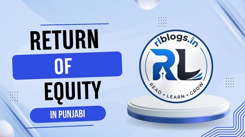 Return on Equity in Punjabi